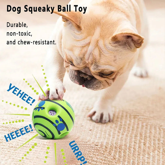 Giggle Squeak Dog Fun Ball - KCShopping