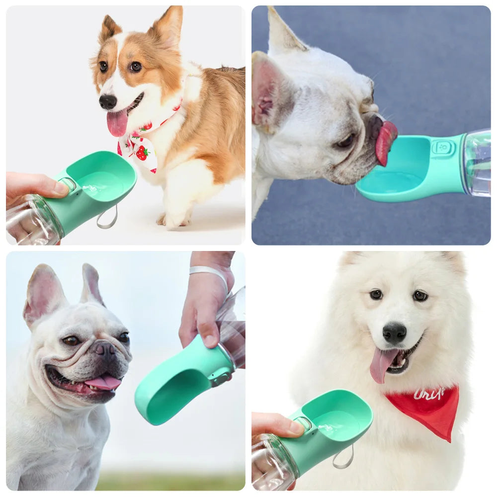 Portable Pet Water Bottle - KCShopping
