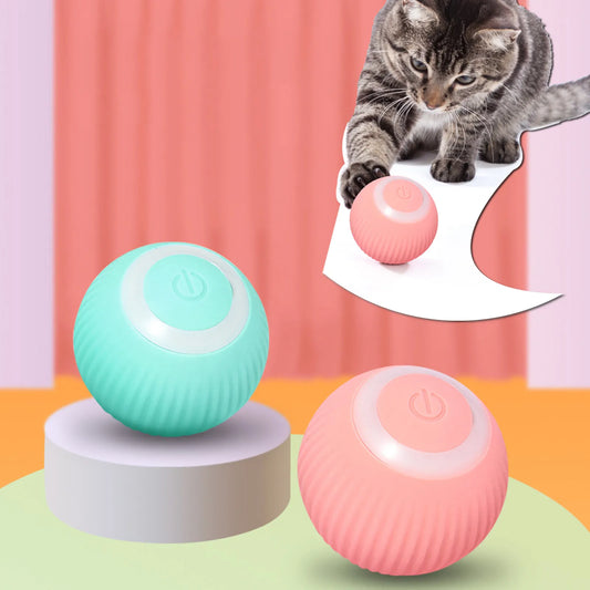 Stimulo-Cat: Auto-Rolling Playmate Ball - KCShopping