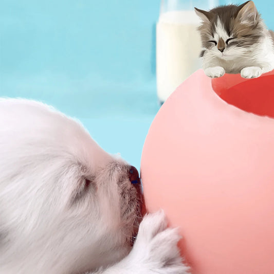 Bol d'alimentation portable pour animaux de compagnie