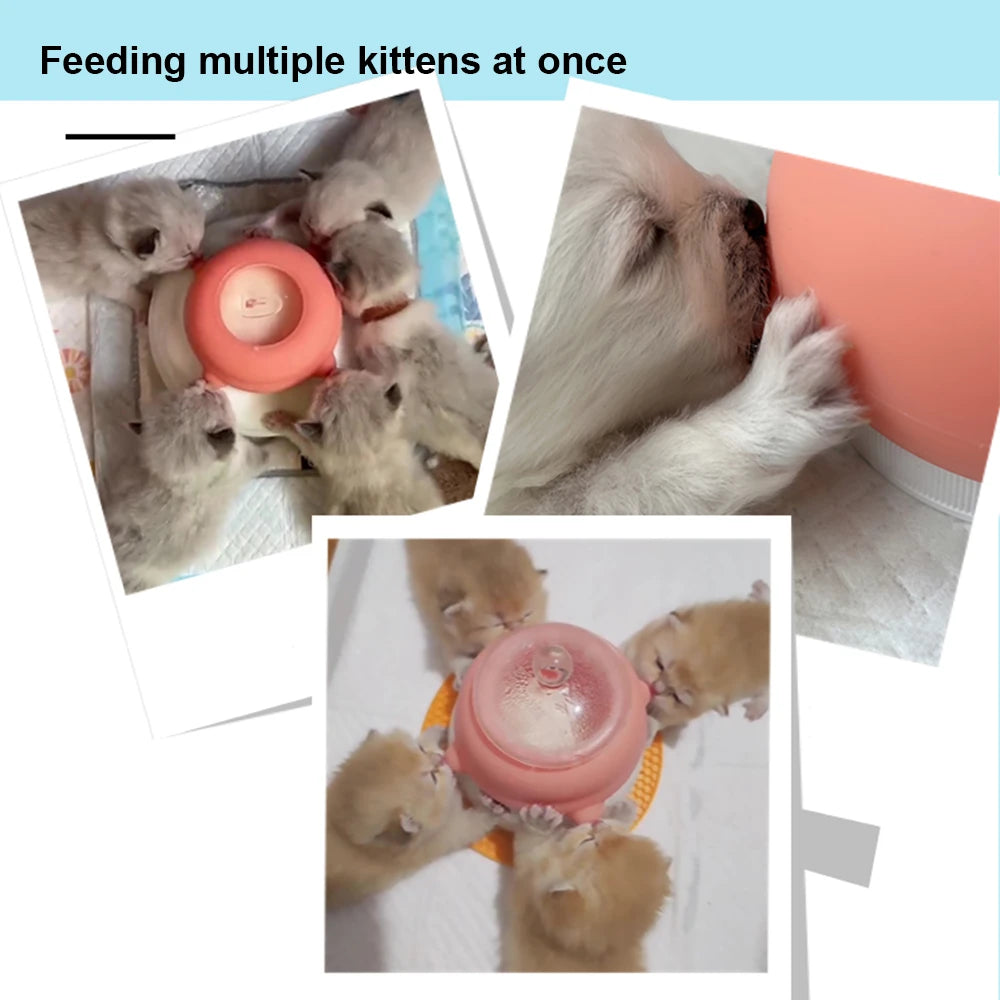 Bol d'alimentation portable pour animaux de compagnie