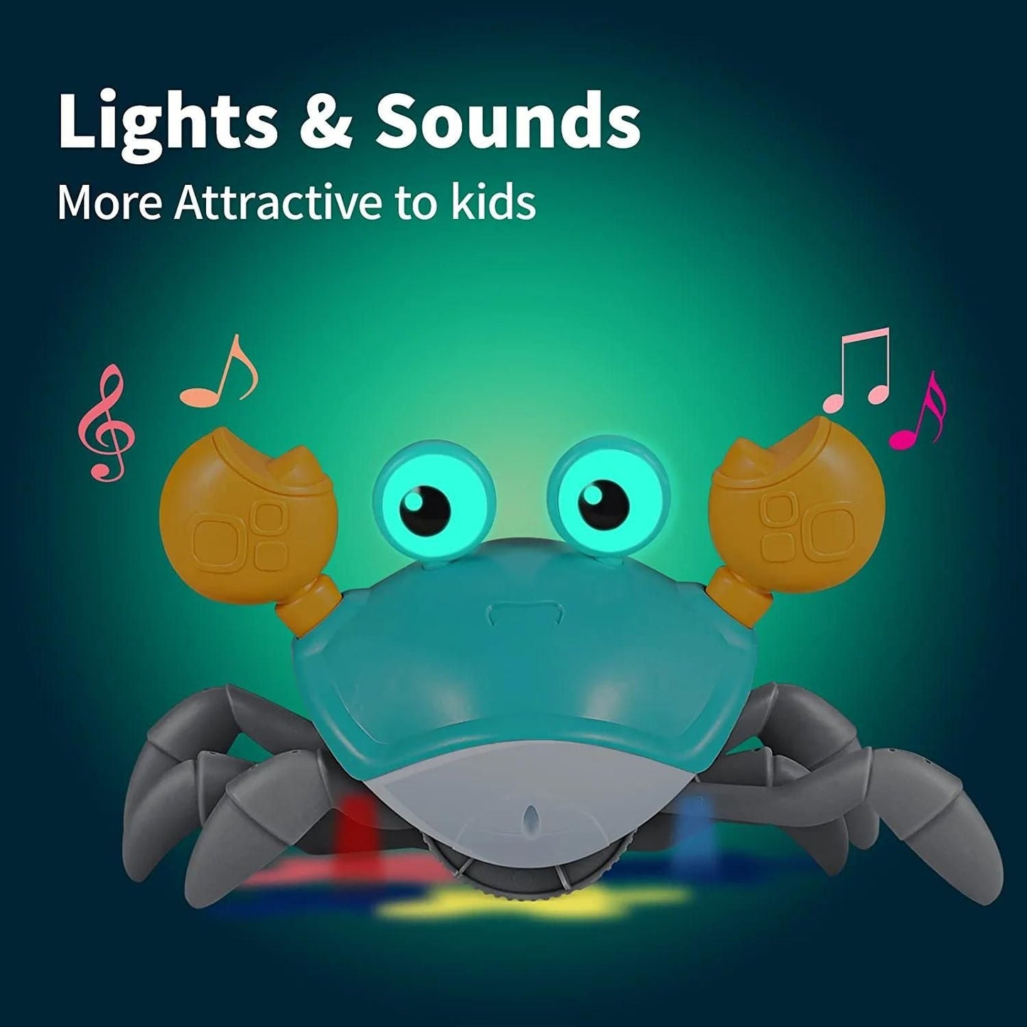 Jouets musicaux marins pour bébé et chien : favorisent le temps passé sur le ventre