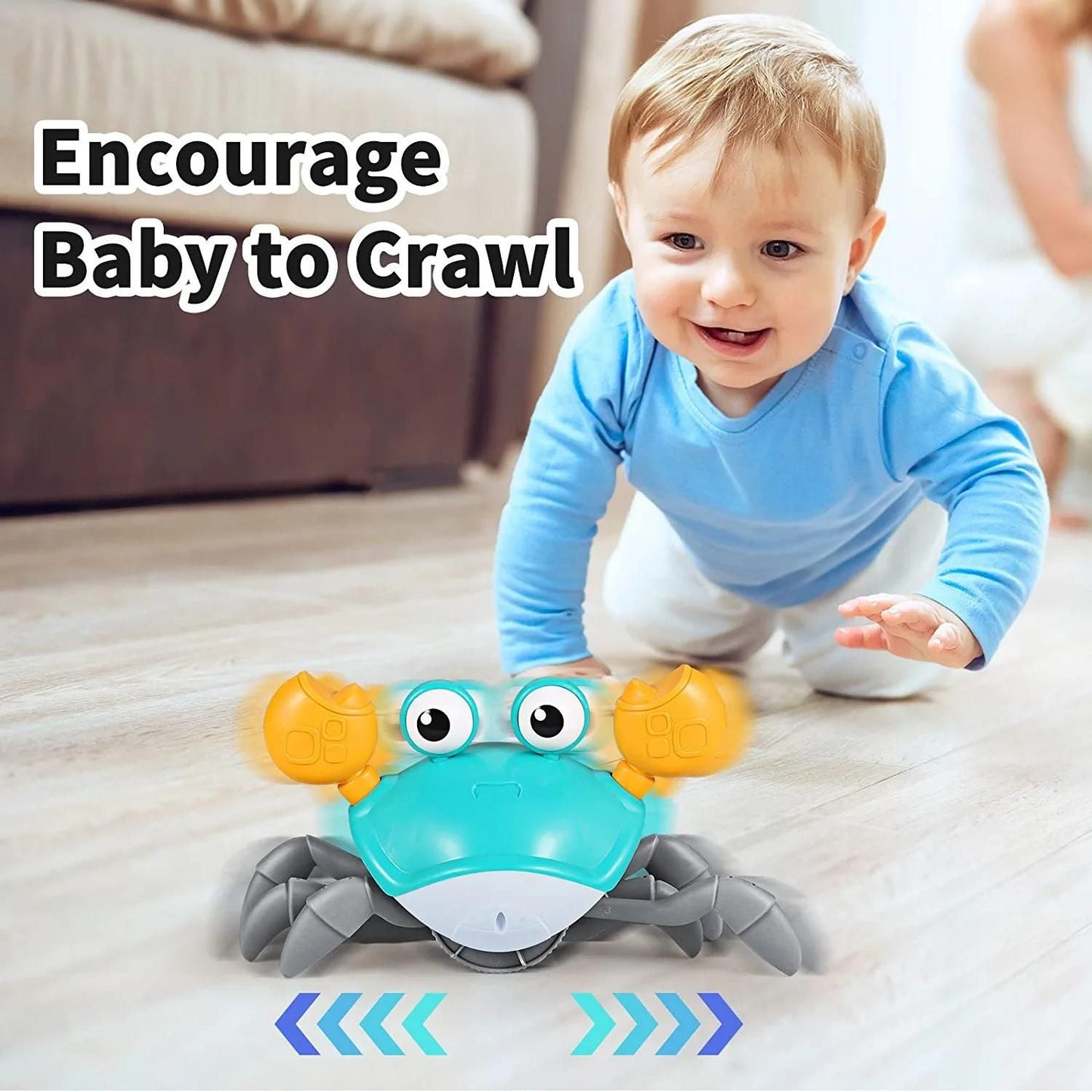 Jouets musicaux marins pour bébé et chien : favorisent le temps passé sur le ventre