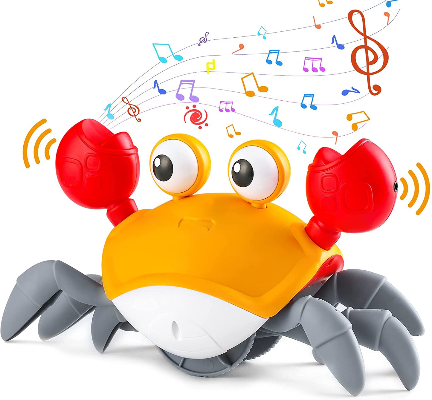 Jouets musicaux marins pour bébé et chien : favorisent le temps passé sur le ventre