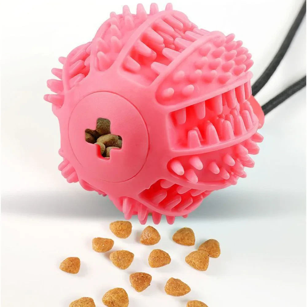 Puppy IQ Tug & Chew Toy - KCShopping