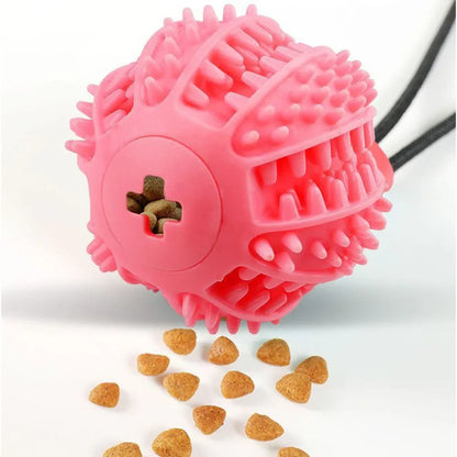 Puppy IQ Tug & Chew Toy - KCShopping