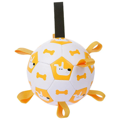 Chiot jouant au ballon de football 