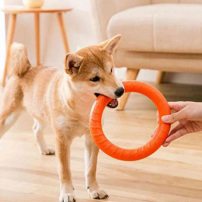 Anneau de dressage durable pour chien 