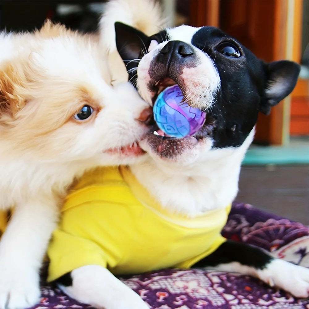 Balle incassable pour chien, pour s'amuser 
