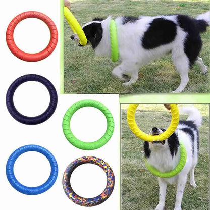 Anneau de dressage durable pour chien 