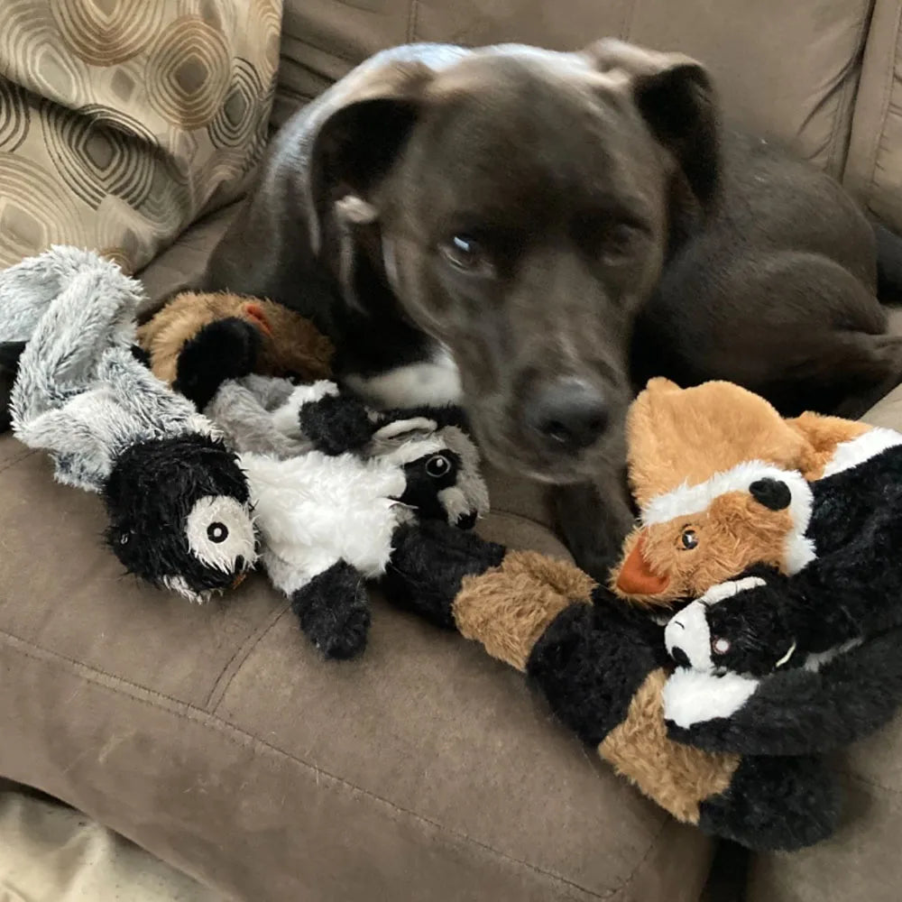 Jouet couineur durable à mâcher pour chien 