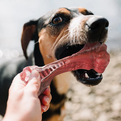 Os à mâcher pour chien robuste 