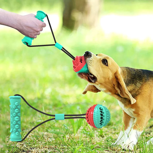 Dog Chew & Play Ball - KCShopping