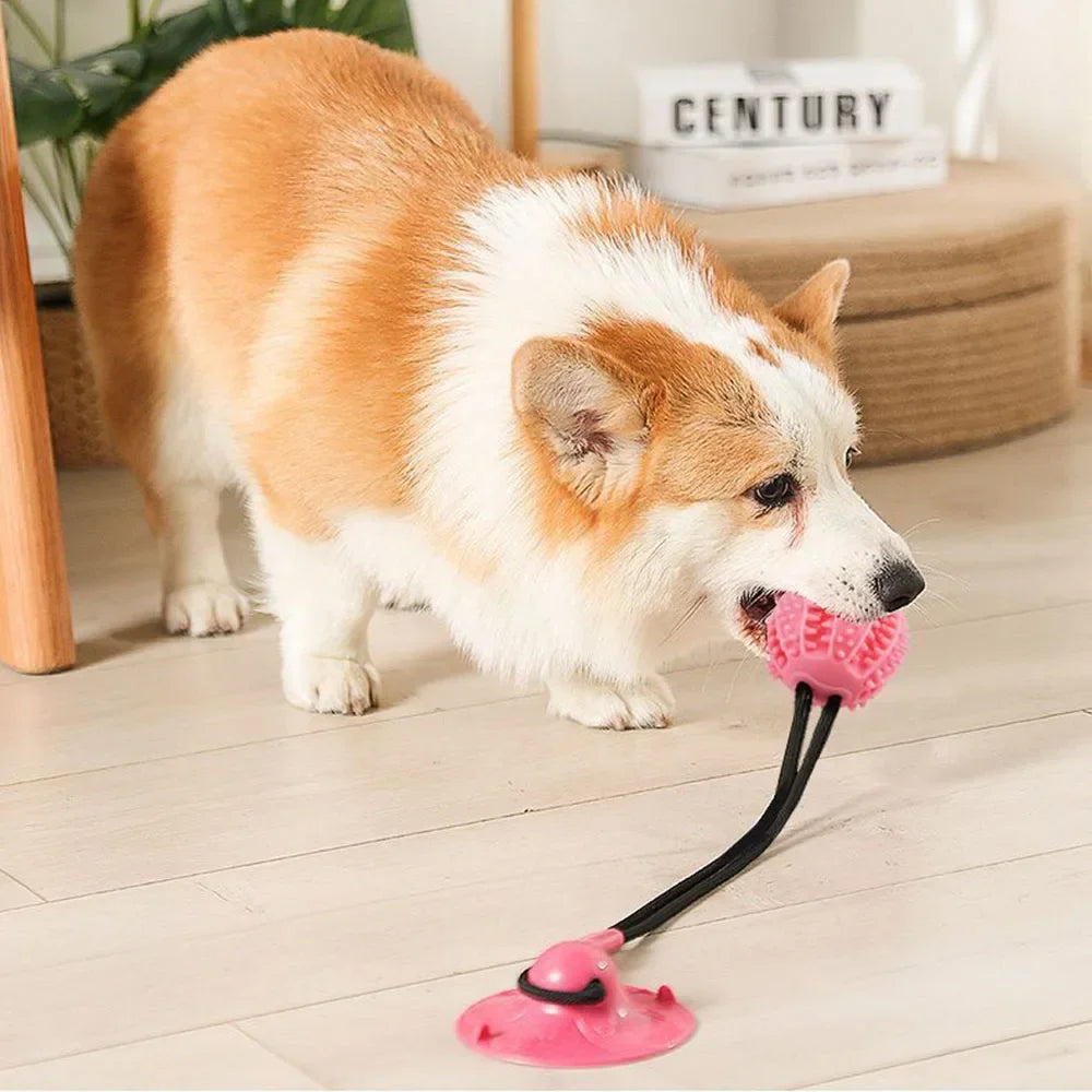 Puppy IQ Tug & Chew Toy - KCShopping