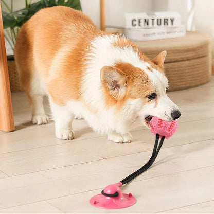 Puppy IQ Tug & Chew Toy - KCShopping