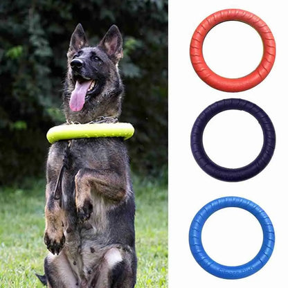 Anneau de dressage durable pour chien 