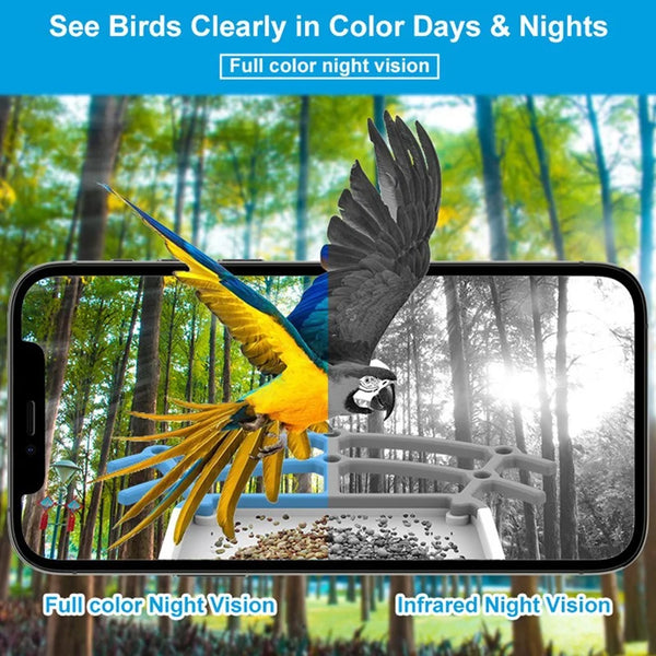 Smart Solar Bird Feeder with Camera