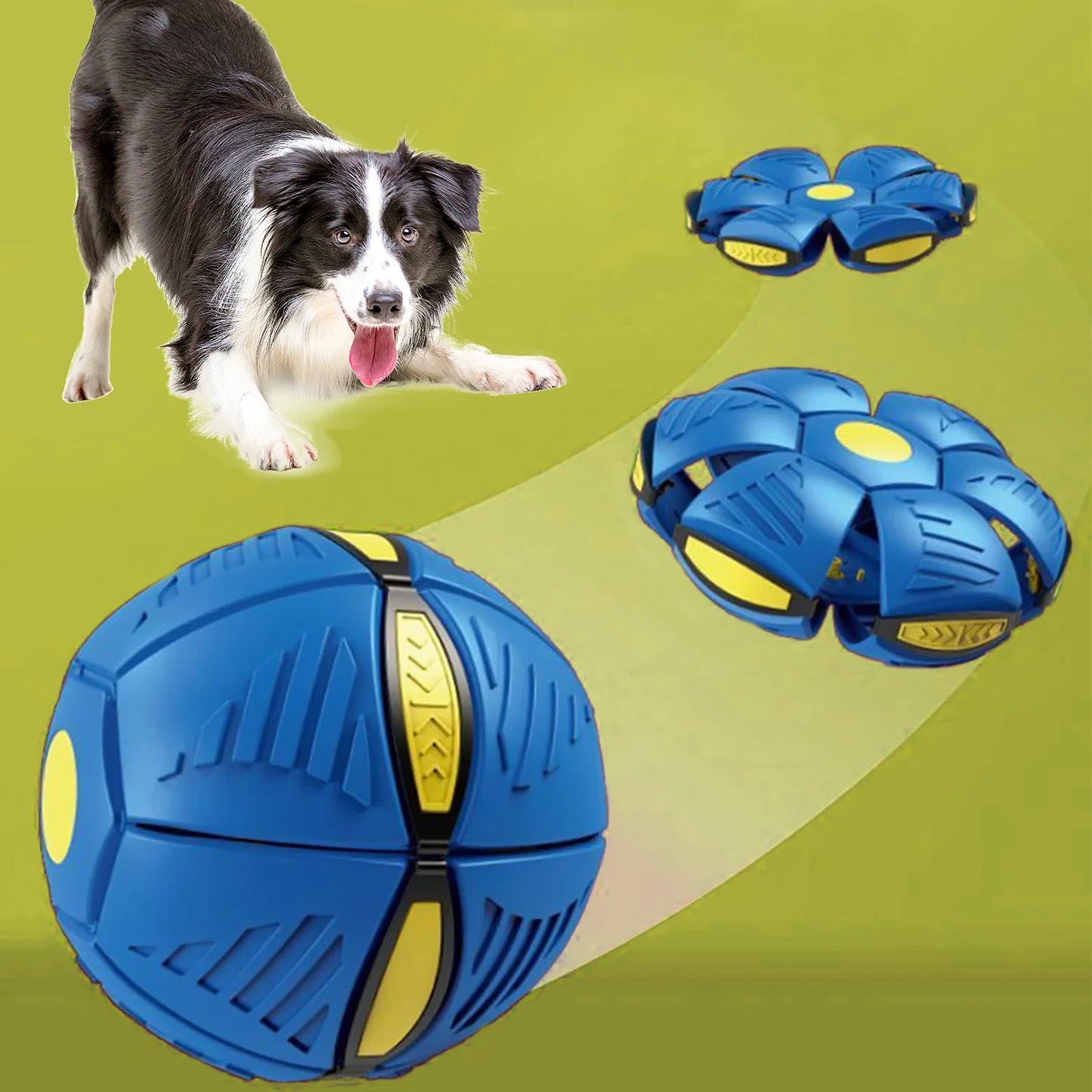 Balle magique OVNI pour chiens 