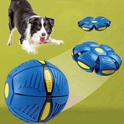 Balle magique OVNI pour chiens 