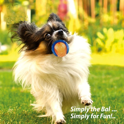 Balle incassable pour chien, pour s'amuser 