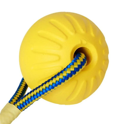 Balle à mâcher indestructible pour chiot 