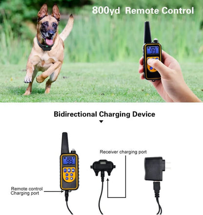 Ultimate Dog Training Collar