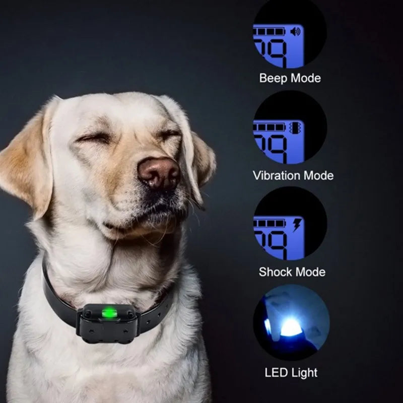 Ultimate Dog Training Collar
