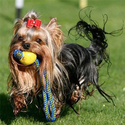 Balle à mâcher indestructible pour chiot 