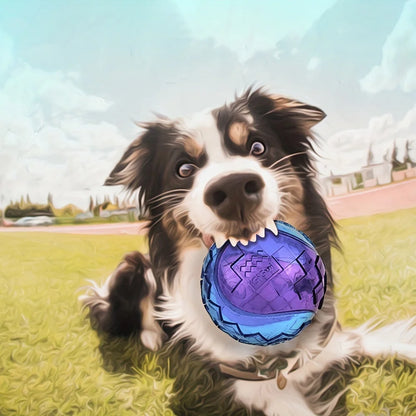 Balle incassable pour chien, pour s'amuser 