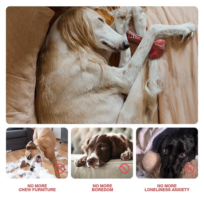 Os à mâcher pour chien robuste 
