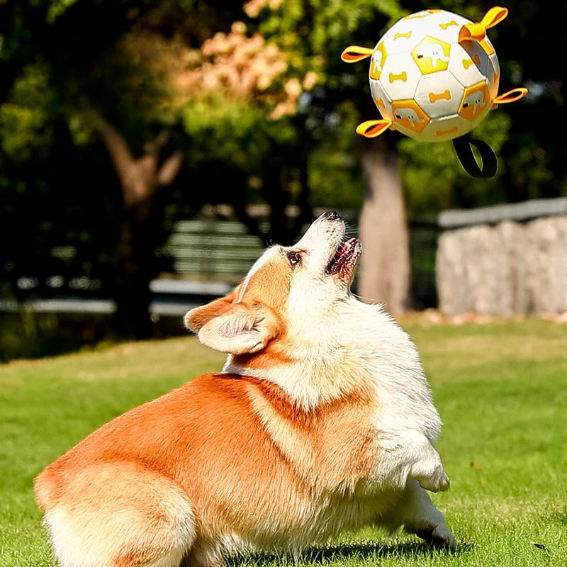 Chiot jouant au ballon de football 