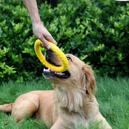 Anneau de dressage durable pour chien 