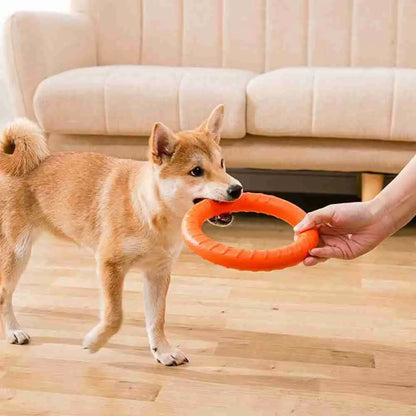 Anneau de dressage durable pour chien 