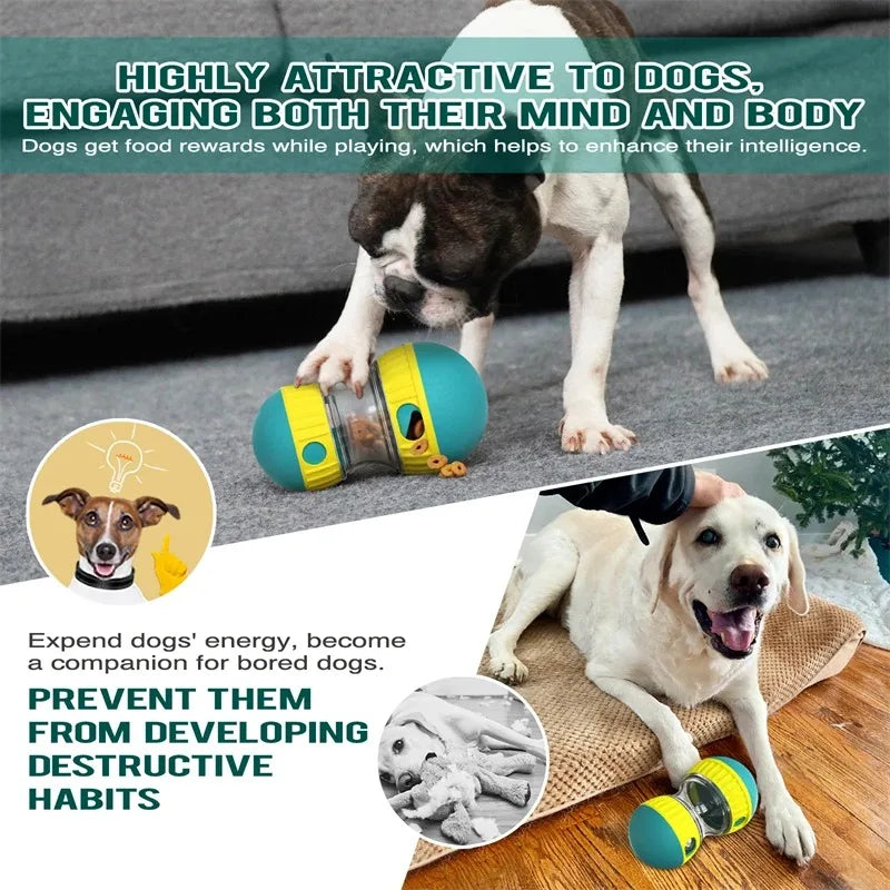 Balle d'alimentation intelligente pour chien 