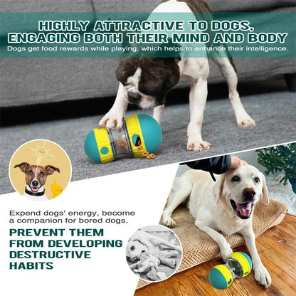 Balle d'alimentation intelligente pour chien 