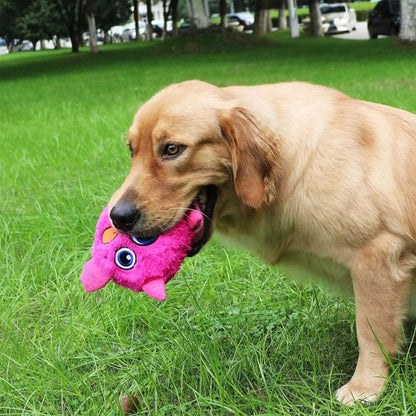 Monstre mignon - Jouet interactif pour chien