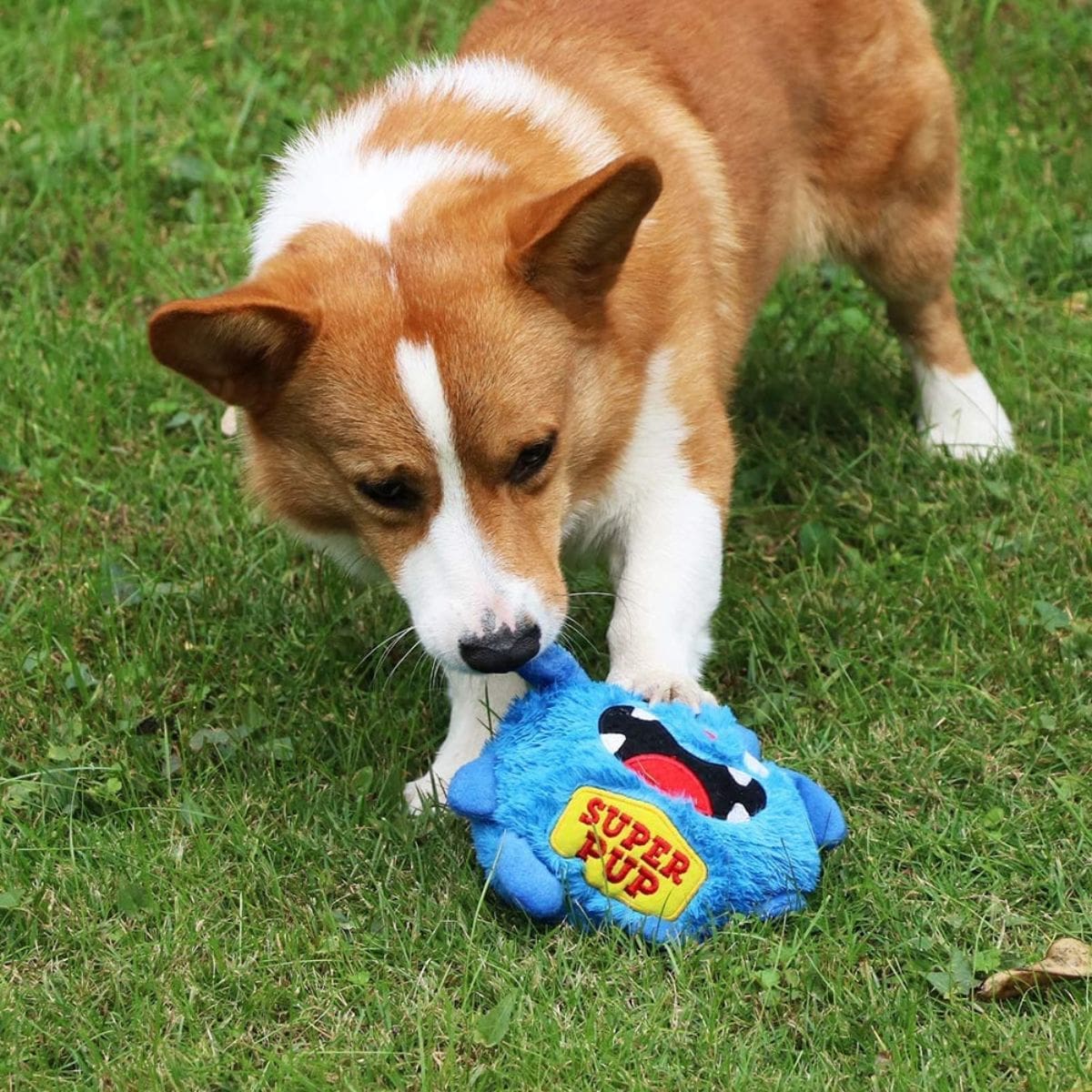 Monstre mignon - Jouet interactif pour chien