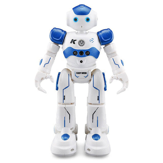 SenseBot – Intelligenter Roboter mit Gestenerkennung