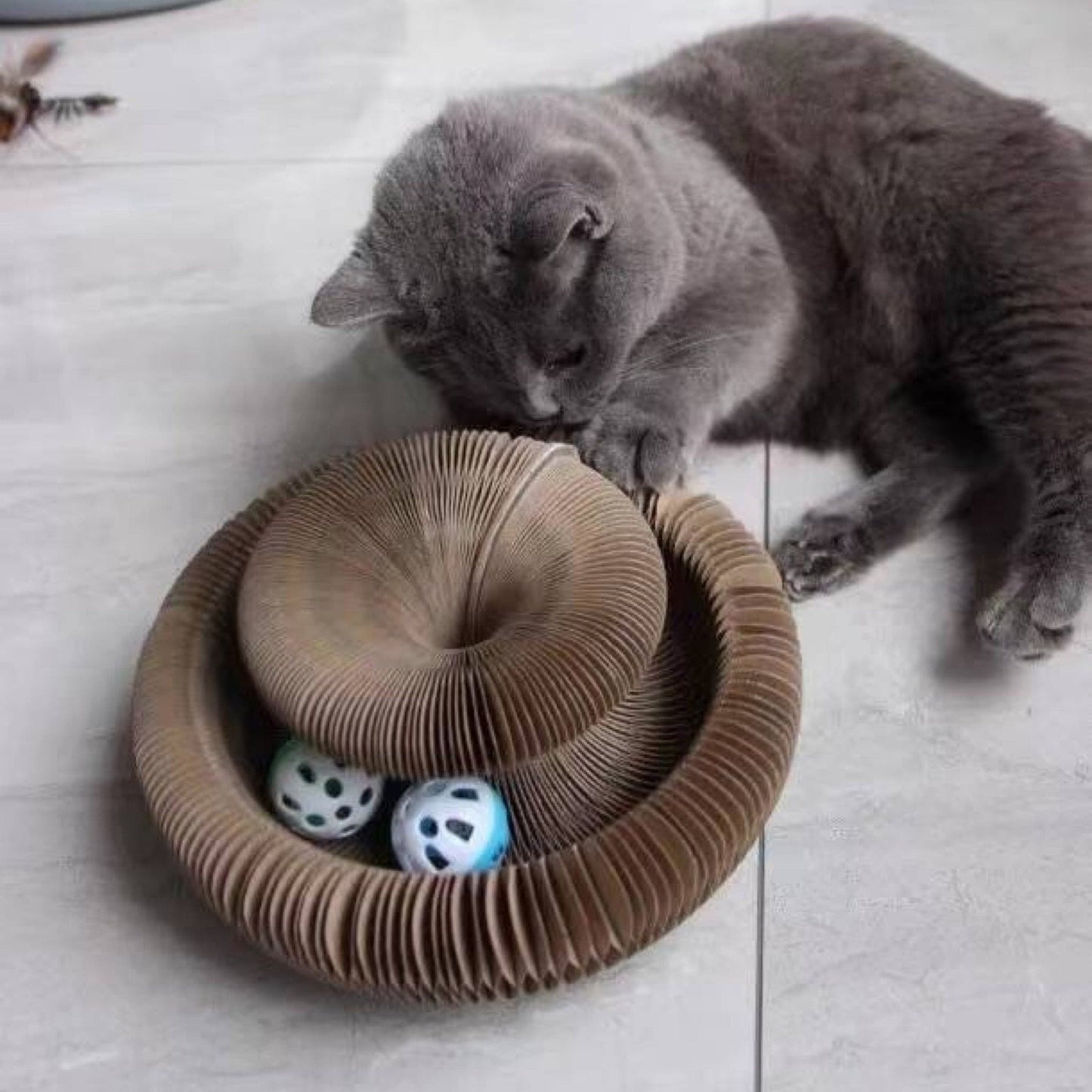 Balle à gratter Purrfect Playtime 