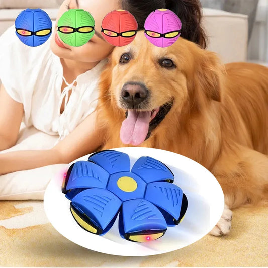 Magic UFO Fetch-For-Fido - KCShopping