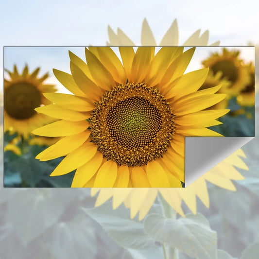 Luminous Pinnacle Projector Screen - KCShopping