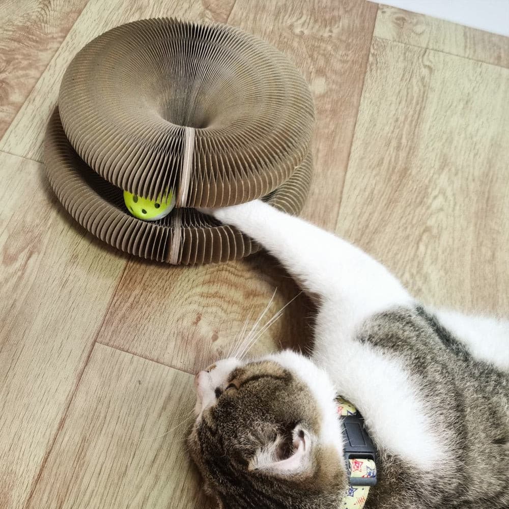 Balle à gratter Purrfect Playtime 
