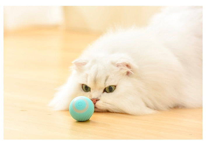 Stimulo-Cat : Balle de jeu à roulement automatique 