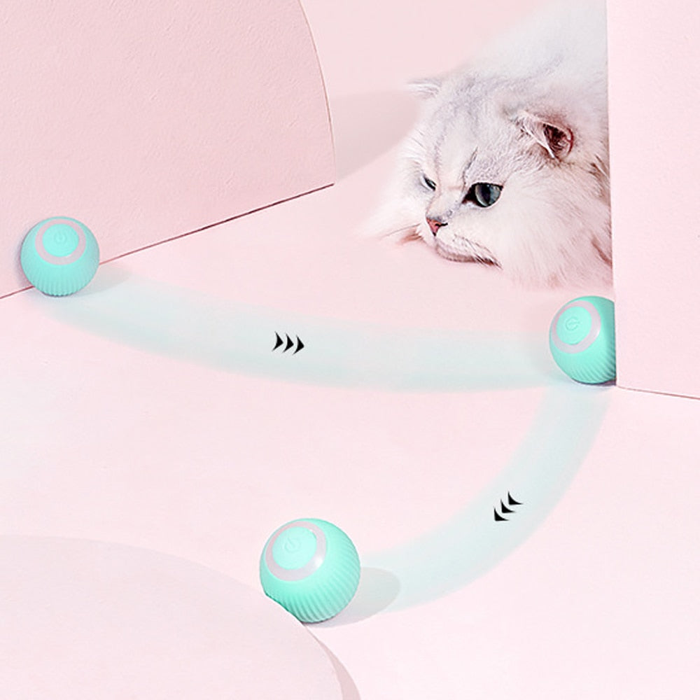Stimulo-Cat : Balle de jeu à roulement automatique 